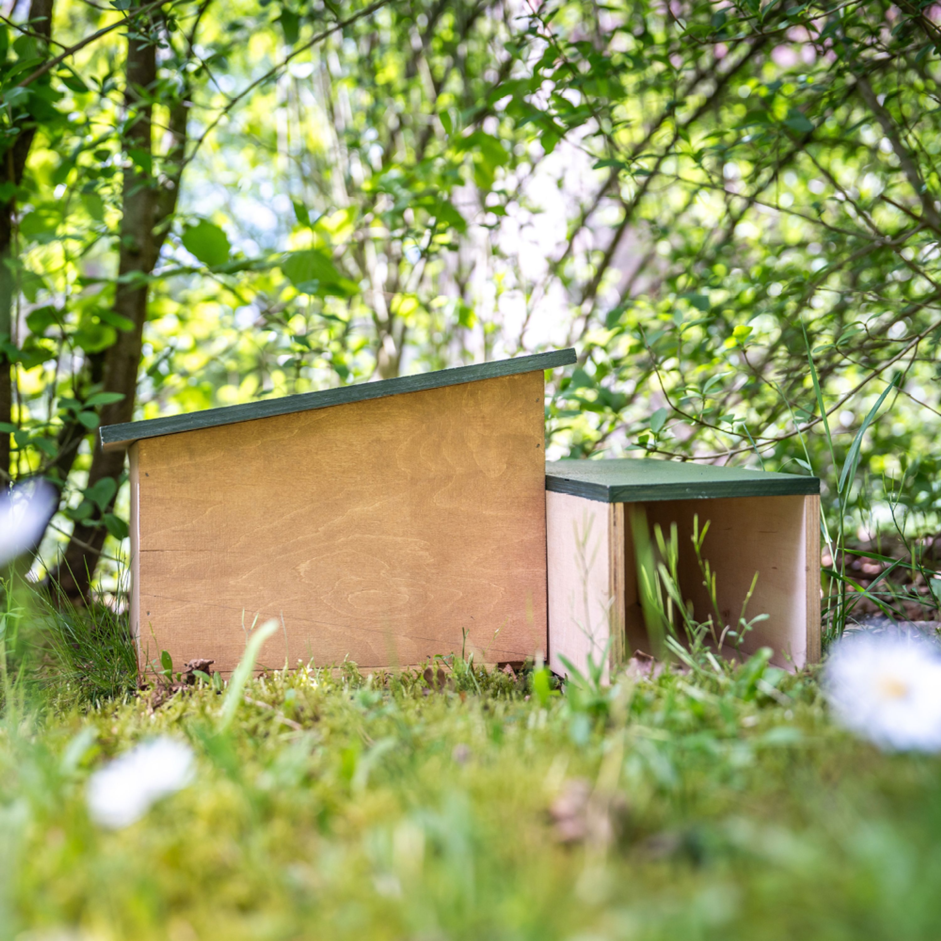 Igelschutzhaus | CJ Wildlife